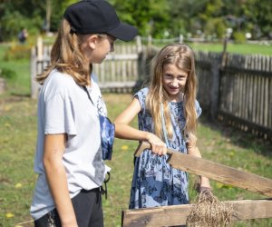 Jesień w polu i zagrodzie - fotorelacja - 15 września 2024 Jesień w polu i zagrodzie - fotorelacja - 15 września 2024