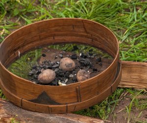 JESIEŃ W POLU I ZAGRODZIE JESIEŃ W POLU I ZAGRODZIE