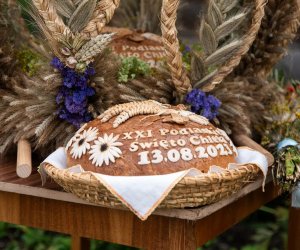 XXI Podlaskie Święto Chleba - fotorelacja XXI Podlaskie Święto Chleba - fotorelacja