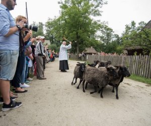 XVII Podlaskie Święto Chleba - fotorelacja XVII Podlaskie Święto Chleba - fotorelacja