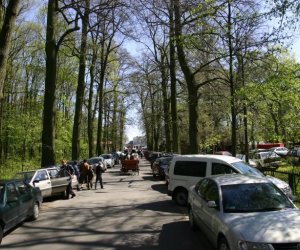 Jarmark Świętego Wojciecha w Ciechanowcu