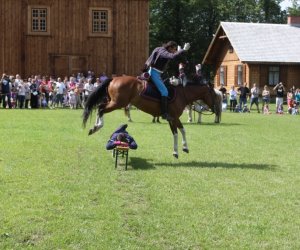 VIII Zajazd Wysokomazowiecki, 15.07.2012. VIII Zajazd Wysokomazowiecki, 15.07.2012.