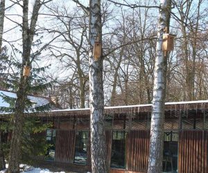 Nowe budki lęgowe w muzealnym parku Nowe budki lęgowe w muzealnym parku