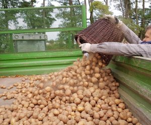 Tłoka w Muzeum Rolnictwa im. ks. Krzysztofa Kluka w Ciechanowcu 17 września 2019 r. Tłoka w Muzeum Rolnictwa im. ks. Krzysztofa Kluka w Ciechanowcu 17 września 2019 r.