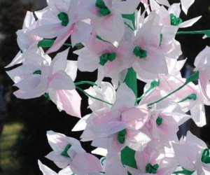 Niedziela Palmowa Niedziela Palmowa