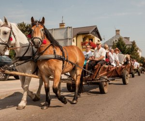 Święto Chleba po raz trzynasty Święto Chleba po raz trzynasty