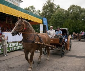 XVI Podlaskie Święto Chleba XVI Podlaskie Święto Chleba
