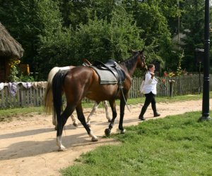 VII PODLASKIE ŚWIĘTO CHLEBA VII PODLASKIE ŚWIĘTO CHLEBA
