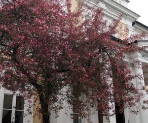 Jarmark św. Wojciecha w obiektywie Tadeusza Kierycha z Radzynia Podlaskiego Jarmark św. Wojciecha w obiektywie Tadeusza Kierycha z Radzynia Podlaskiego