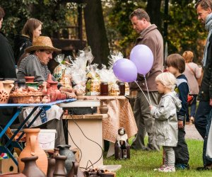 Wykopki w Skansenie 2013 Wykopki w Skansenie 2013