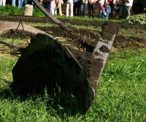 Wykopki w skansenie 2009