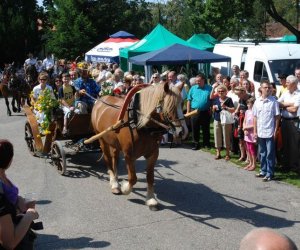 IX Podlaskie Święto Chleba IX Podlaskie Święto Chleba