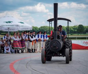Muzeum na Pikniku Poznaj Dobrą Żywność