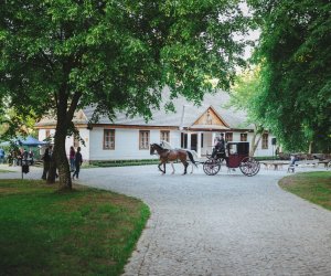 Noc Muzeów 2018 - fotorelacja Noc Muzeów 2018 - fotorelacja