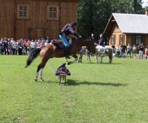 VIII Zajazd Wysokomazowiecki, 15.07.2012.