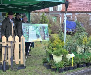 Deszczowy Jarmark Deszczowy Jarmark