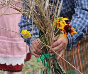 XVI Podlaskie Święto Chleba XVI Podlaskie Święto Chleba