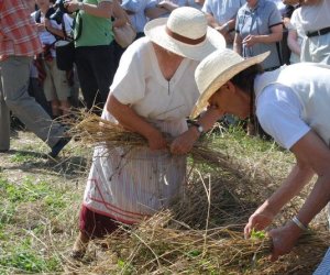 IX Podlaskie Święto Chleba IX Podlaskie Święto Chleba