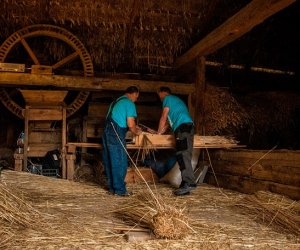 Jesień w polu i zagrodzie Jesień w polu i zagrodzie