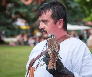 XI Zajazd Wysokomazowiecki - fotorelacja XI Zajazd Wysokomazowiecki - fotorelacja