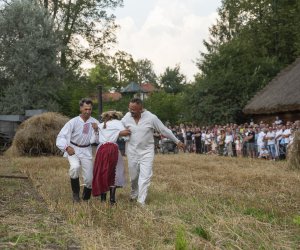 XXIII Podlaskie Święto Chleba - fotorelacja XXIII Podlaskie Święto Chleba - fotorelacja