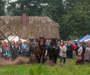 JESIEŃ W POLU I ZAGRODZIE JESIEŃ W POLU I ZAGRODZIE