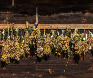 XV Podlaskie Święta Chleba w Muzeum Rolnictwa im. ks. Krzysztofa Kluka w Ciechanowcu XV Podlaskie Święta Chleba w Muzeum Rolnictwa im. ks. Krzysztofa Kluka w Ciechanowcu