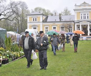 Deszczowy Jarmark Deszczowy Jarmark