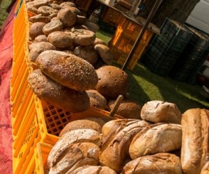 XIX Podlaskie Święto Chleba - fotorelacja XIX Podlaskie Święto Chleba - fotorelacja