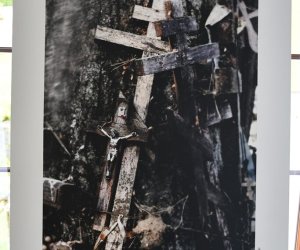 Kongres poświęcony kulturze Kongres poświęcony kulturze