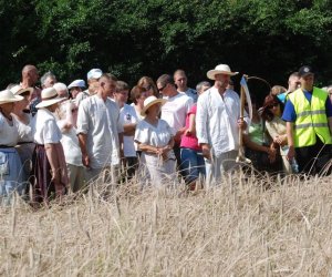 IX Podlaskie Święto Chleba IX Podlaskie Święto Chleba