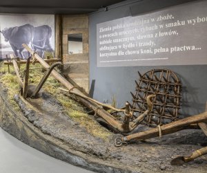 Dni Otwarte Funduszy Europejskich w Muzeum Rolnictwa im. ks. Krzysztofa Kluka w Ciechanowcu