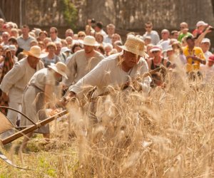 Jesteśmy w finale plebiscytu na Podlaską Markę Roku! Jesteśmy w finale plebiscytu na Podlaską Markę Roku!