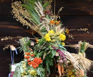 VIII PODLASKIE ŚWIĘTO CHLEBA VIII PODLASKIE ŚWIĘTO CHLEBA