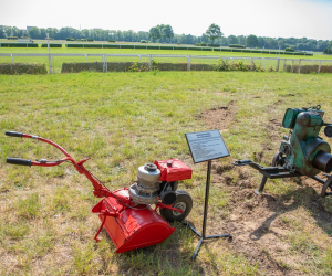 "Piknik Poznaj Dobrą Żywność" - Służewiec - 26 maja 2024 r. - fotorelacja