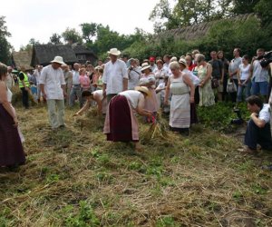 VII PODLASKIE ŚWIĘTO CHLEBA VII PODLASKIE ŚWIĘTO CHLEBA