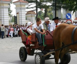 VII PODLASKIE ŚWIĘTO CHLEBA VII PODLASKIE ŚWIĘTO CHLEBA
