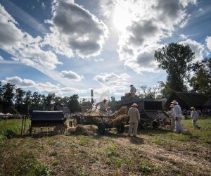XVIII Podlaskie Święto Chleba - fotorelacja XVIII Podlaskie Święto Chleba - fotorelacja