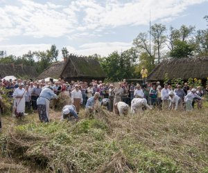 XVI Podlaskie Święto Chleba XVI Podlaskie Święto Chleba