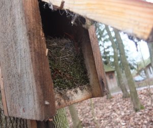 Zimowe Ptakoliczenie 2016 Zimowe Ptakoliczenie 2016