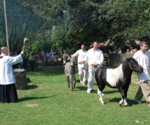 IX Podlaskie Święto Chleba IX Podlaskie Święto Chleba