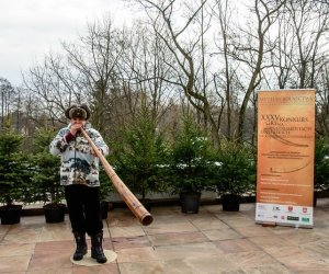 Galeria z 5 grudnia 2015 Galeria z 5 grudnia 2015