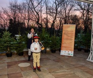 Galeria z 5 grudnia 2015 Galeria z 5 grudnia 2015