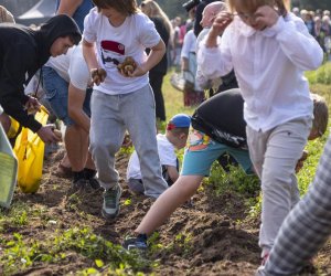 „Jesień w polu i zagrodzie” 2023 r. - fotorelacja i podsumowanie „Jesień w polu i zagrodzie” 2023 r. - fotorelacja i podsumowanie
