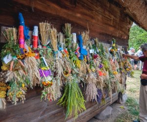 XIX Podlaskie Święto Chleba - fotorelacja XIX Podlaskie Święto Chleba - fotorelacja