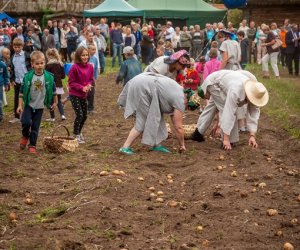 Jesień w polu i zagrodzie Jesień w polu i zagrodzie