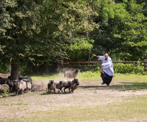 XXIII Podlaskie Święto Chleba - fotorelacja XXIII Podlaskie Święto Chleba - fotorelacja