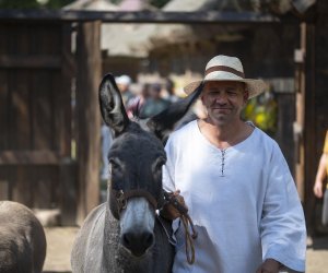 XXII Podlaskie Święto Chleba - fotorelacja XXII Podlaskie Święto Chleba - fotorelacja