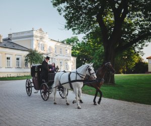 Noc Muzeów 2018 - fotorelacja Noc Muzeów 2018 - fotorelacja