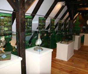 Nasza przyroda, Zagrożenia, cele i formy jej ochrony Nasza przyroda, Zagrożenia, cele i formy jej ochrony